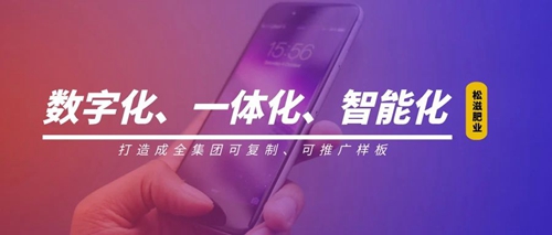 線上辦公零接觸！松滋肥業信息化在戰“疫”之中顯身手(圖1)