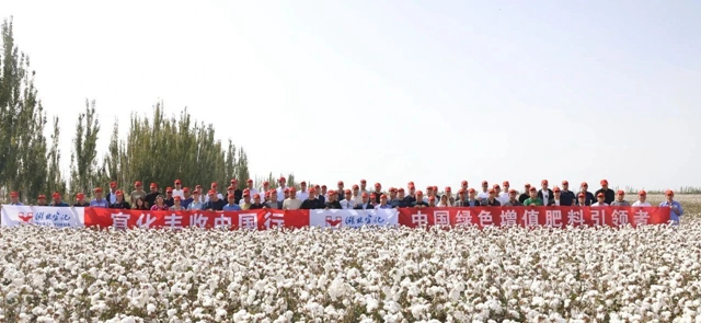 宜化豐收中國行！新疆棉花大型測產觀摩會成功舉行(圖1)