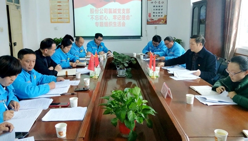 向宇飛列席指導股份公司氯堿黨支部“不忘初心、牢記使命”專題組織生活會