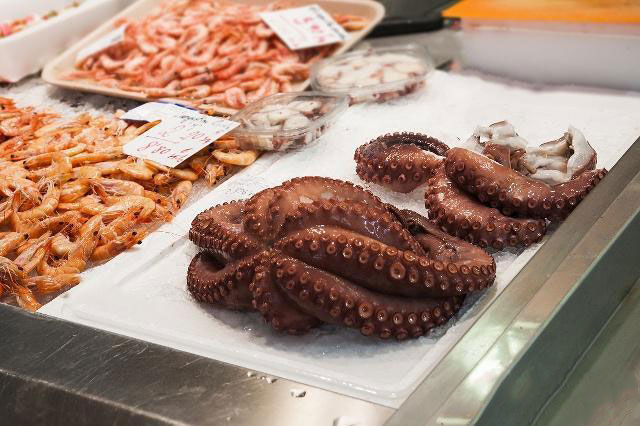 八爪魚哪個部位不能吃?網(wǎng)紅吃八爪魚為什么要爆頭? 八爪魚哪個部位不能吃?網(wǎng)紅吃八爪魚為什么要爆頭?